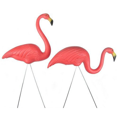 PRE-ORDER BY 4/22/24 with Discounted Price for pick up at  Flash Garden #3 4/27/24 Official infamous Austin plastic pink flamingos-a matched pair  pre-order deadline 4/25/24
