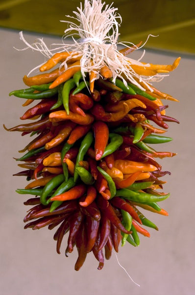 Pre-Order - Classic Santa Fe New Mexico PEQUIN Chile Ristras (smaller peppers) for Pick Up at a Flash Garden in October/November  TAKING ORDERS NOW.  We will update exact pick up dates soon.  Order Now, Save Yours