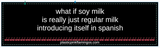 Infamous & Iconic-Flamingos Bumper Stickers from our old shop “what if soy milk … is really just regular milk introducing itself in spanish ” for walk in purchase only at our flash gardens