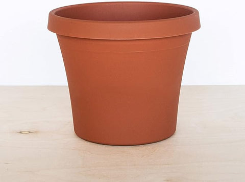 Pre-Order Terra Cotta Colored Plastic 20“Pot- with Pre-Order Discount for pick up at Flash Garden #4 5/18/24 11am-3pm.  Lakeway Pre-Order Deadline 5/15/24 or when we run out