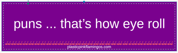 Infamous & Iconic-Flamingos Bumper Stickers from our old shop “what if soy milk … is really just regular milk introducing itself in spanish ” for walk in purchase only at our flash gardens