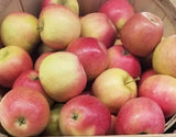 Reserve Yours - Arkansas Grown Fresh ‘Ludacrisp’  Apples 1/4peck - available For Pick up 11/14/26 - at our “Second” First Annual Plastic Pink Flamingos Fine Arts Festival - Lakeway only