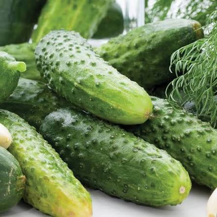 RESERVE YOURS  Pickling Cucumbers 1/8peck for pick-up College Station Fri 7/17  5:30p-7:30p - Lakeway Sat 7/18 10:30am-12:30 & Johnson City Sun 7/19 Noon-2PM  *** Use the pull down menus NOW ***to choose location & get the Pre-Order DISCOUNT