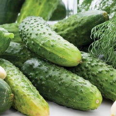 RESERVE YOURS  Pickling Cucumbers 1/8peck for pick-up College Station Fri 7/31  5:30p-7:30p - Lakeway Sat 8/1 10:30am-12:30 & Johnson City Sun 8/2 Noon-2PM  *** Use the pull down menus NOW ***to choose location & get the Pre-Order DISCOUNT