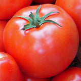 RESERVE YOURS NOW - Famous Jacksonville TX Tomatoes 1/4peck at Discounted Pre-Order Price- For Pick up 11/14/26 - at our “Second” First Annual Plastic Pink Flamingos Fine Arts Festival - Lakeway Location Only