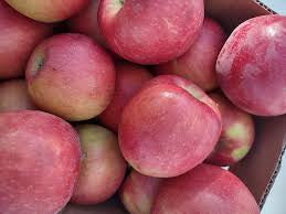 Reserve Yours - Arkansas Grown Fresh ‘Ludacrisp’  Apples 1/4peck - available For Pick up 11/14/26 - at our “Second” First Annual Plastic Pink Flamingos Fine Arts Festival - Lakeway only