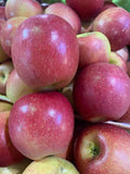 Reserve Yours - Arkansas Grown Fresh ‘Ludacrisp’  Apples 1/4peck - available For Pick up 11/14/26 - at our “Second” First Annual Plastic Pink Flamingos Fine Arts Festival - Lakeway only