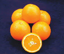 PRE-ORDER -Texas Rio Grande Valley Oranges(6count) for customer Pick Up at one of our Flash Garden locations *** USE THE PULL DOWN MENU TO CHOOSE YOUR PICK UP LOCATION ***tentative pick up date *** weekend of Jan 9,10,11 or Jan 16,17,18 will update soon