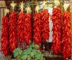 Fresh Classic Santa Fe New Mexico Chile Ristras (Regular Larger Peppers). For Onsite Walk in purchase only - not available for Pre-order at this time