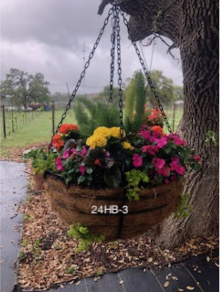 DRIFTWOOD Premium Planted 24"Heavy Duty HangingBasket - for Walk In Purchase
