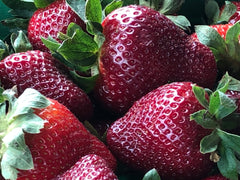 Freshly Picked Ripe Poteet Strawberries 1pint - for Walk in Purchase at a Flash Garden