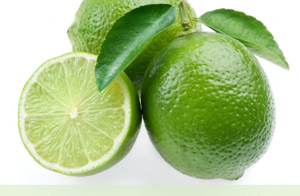 Persian Lime 5g  for walk in purchase at a Flash Garden