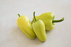LAKEWAY Gypsy Bell Pepper 4” for walk in purchase at our LAKEWAY Flash Garden