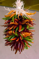 Classic New Mexico Chile Ristras  PEQUIN (smaller peppers)  - MULTI-COLOR - these will ripen to be all Red in color over time. For Onsite Walk in purchase only - not available for Pre-order at this time PEQUIN (smaller peppers)