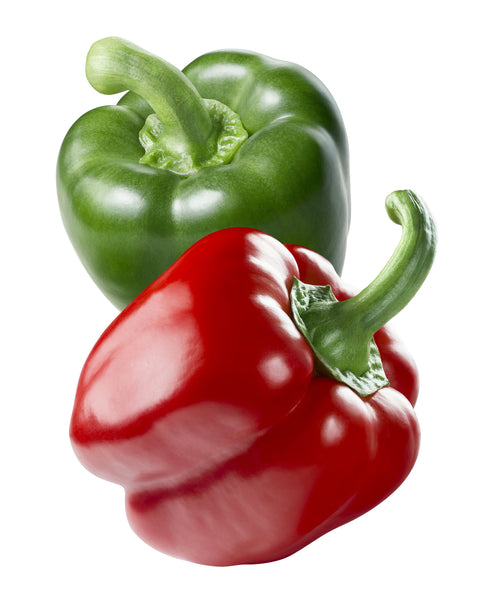 LAKEWAY Keystone Bell Pepper 4” for walk in purchase at our LAKEWAY Flash Garden