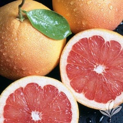 Rio Red Grapefruit Tree 5g  for walk in purchase at a Flash Garden   Not available for Pre-Ordering at this time. You must be onsite, in person at a Flash Garden to purchase these.