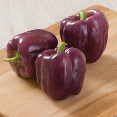 LAKEWAY islander Bell Pepper 4” for walk in purchase at our LAKEWAY Flash Garden
