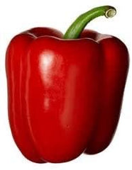 LAKEWAY Red Baron Bell Pepper 4” for walk in purchase at our LAKEWAY Flash Garden