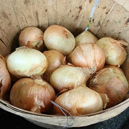 PRE-ORDER  Noonday Sweet Onions for customer pick up at one of our Flash Garden (cute little wooden display baskets sold separately) *** USE THE PULL DOWN MENU TO CHOOSE YOUR PICK UP LOCATION ***